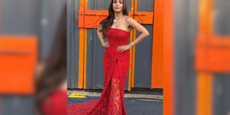 Malaika’s Christmas vibes: બલ્ગારીના સર્પેન્ટાઈન નેકલેસ સાથે મલાઈકાનું રેડ કોકટેલ ગાઉન ક્રિસમસ વાઈબ્ઝ આપે છે