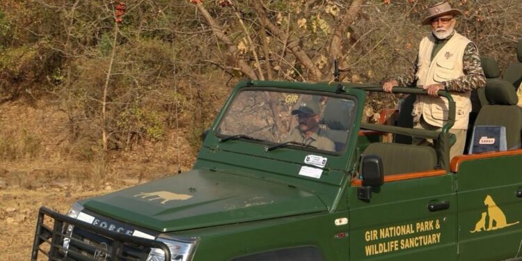 Narendra Modi celebrates world wildlife day: વસંતનાં કેસૂડાનાં ફૂલો, ફોટોગ્રાફી અને સિંહો: પીએમ મોદીે ગુજરાતના ગીર નેશનલ પાર્કમાં વિશ્વ વન્યજીવ દિવસ ઉજવ્યો